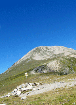 Bastiments des del Coll de la Marrana