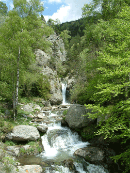 Cossi del Batlló