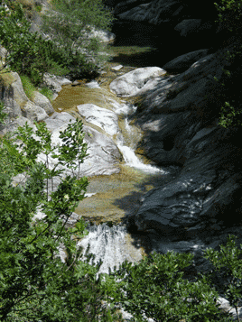 Gorges del Freser