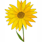 Fitxes de plantes i arbusts de ribera
