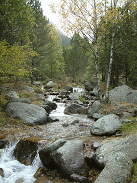 torrent de coma d'Orri