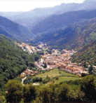 Ribes de Freser