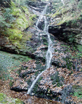 Salt del Querroig