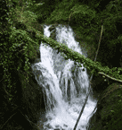 Torrent de la Font Gran