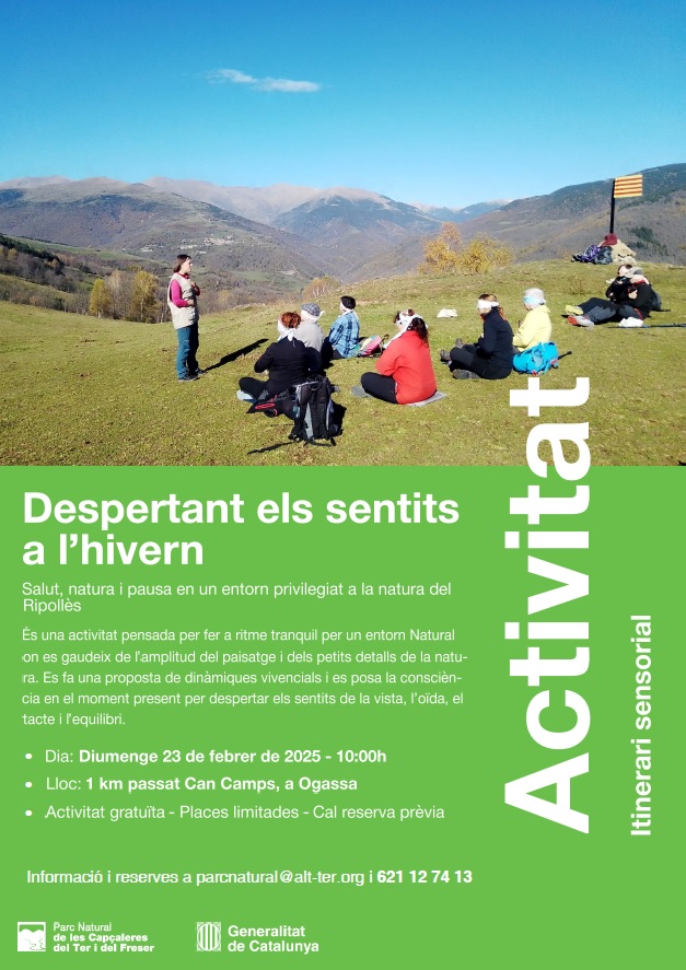 Despertant_sentits_hivern